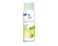FROSCH Duschcreme Frosch Senses Sensitiv Dusche Zitronenminze 300ml - Duschmittel (1er P