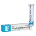 Weiche Nasensalbe n. Dr. Bad 20 g