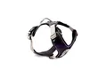 Wolters Active Pro Geschirr Geschirr Hundegeschirr beige XS