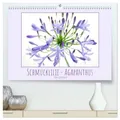 Schmucklilie - Agapanthus (hochwertiger Premium Wandkalender 2026 DIN A2 quer), Kunstdruck in Hochglanz: Die auch Liebesblume genannte majestätische ... ist ein absoluter Blickfang (CALVENDO Natur)