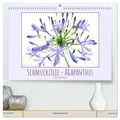 Schmucklilie - Agapanthus (hochwertiger Premium Wandkalender 2026 DIN A2...