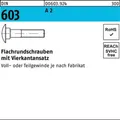 100er PACK(Stk)  000603920040060045 Flachrundschraube DIN 603 m.Vierkantansatz M