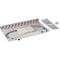 EFB Elektronik Spleissbox LC 50/125µ OM4 ausziehbar 12 Pigtails abgesetzt /6 Kupplungen (Spleissbox) (BA71901L12OM4)