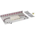 EFB SPLEIßBOX 6XLCD 50/125 OM4 AUS / EFB BA71901L12OM4 OM4 BA71901L12OM4