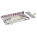 Spleißbox LC 50/125μm OM4 ausziehbar, 12 -- Pigtails abgesetzt /6 Kupplungen Glasfaserverkabelung