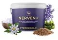 Pferdegold Nerven+ 1,5 kg - Pferde Pellets mit Magnesium & Tryptophan - Unterstützung bei Stress - 100% Natürlich & Melassefrei - Made in Germany