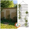 Floranica Rankhilfe Ranknetz Rankgitter für den Garten Balkon und Terrasse, Breite - 50 cm, für Kletterpflanzen Rosen für Gurken Tomaten o Anderen Gemüsepflanzen beige 50 cm x 150 cm