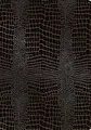 RNKVERLAG 46217 - Elegante Urkundenmappe Grace Carbon Black, mit Zwei transparenten Einstecktaschen, Maße (BxH): 225 x 310 mm, für DIN A4, 1 Stück
