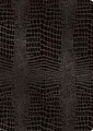 RNK Organisationsmappe RNK Urkundenmappe Grace Carbon Black 225x310mm A4 Einstecktaschen