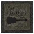 FBSS200 Steel Strings Baritone