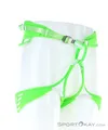 Edelrid Ace Klettergurt-Hell-Grün-S