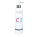C2 Hybrid Kosmetik Intensifier 250ml Solarium Kosmetik Hautpflege