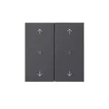 Gira Wippe 2-fach 538628 Taster Schalter Installationsschalterprogramme Wippe