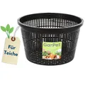 Pflanzkörbe Rund 22 cm Körbe Wasserpflanzen Teichpflanzkorb Pflanzkorb Teichpflanzen Pflanzkörbe Für Seerosen Wasserpflanzenkorb Teichkorb