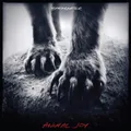 Shearwater Animal Joy (Vinyl) 12" Album (US IMPORT)