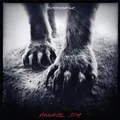 SHEARWATER - ANIMAL JOY  VINYL LP 11 TRACKS  ALTERNATIVE ROCK NEU