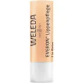 Weleda AG Weleda Everon® Lippenpflege, 4,8 g, Pflegt und schützt die Lippen, 1 Stück, Lichtschutzfaktor 4 00883800