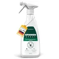 Silberkraft Spinnenspray 500 ml, Effektives Mittel gegen Spinnen in Haus, Wohnung & Garten, Langzeitwirkung bis zu 3 Monate, Alternative zu Spinnengift & Spinnenfallen