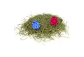 CEPEWA Osternest Ostergras grün 50 g Holzwolle Dekogras Osterdeko Osternestfüllung