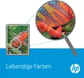 HP 305XL - 6.45 ml - Hohe Ergiebigkeit - pigmentiertes Schwarz - Original - Tintenpatrone - für Deskjet 1255, 27XX, DeskJet Plus 41XX, Envy 60XX, ENVY Pro 64XX