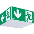 Ceag Notlichtsysteme Leuchte Exit Cube ExitCube33042LEDCG-S
