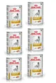 ROYAL CANIN Dog Urinary Nassfutter erwachsene Hunde der unteren Harnwege 6x410g