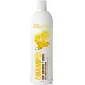Blumin - Ginger And Lemon Shampoo - Ingwer Und Zitrone Shampoo 1000 Ml