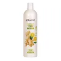 BLUMIN - GINGER AND LEMON SHAMPOO - Ingwer und Zitrone Shampoo 1000 ml