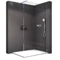 Bernstein Duschwand EX101 – Walk-In Duschabtrennung 120 x 200 cm aus 10 mm Klarglas mit Nano-Beschichtung, rahmenlos, Wandprofil Chrom, Stabilisationsstange, ESG Echtglas