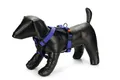 Karlie Art Sportiv Premium Y-Geschirr, Hundegeschirre, Nylon, Blau, 73-94x3 cm