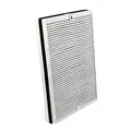 AllSpares Formaldehyd-Filter für Luftreiniger geeignet für Philips AC4147/10