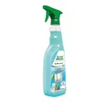 Green Care Glass Cleaner 712494 Sprühflasche 750ml