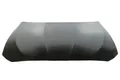 BLIC 6803-00-0067280AQ Bonnet for BMW
