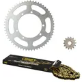 Kettensatz von AFAM passend für Suzuki GSX 1400 2001-2007 18x41 116m (ursprüng