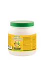 NEKTON Crested Gecko Sweet Mango high Protein 700g