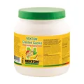 NEKTON Crested Gecko mit Mango- speziell für Kronengeckos mit Mango 700 g