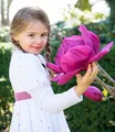 Magnolie 'Meganolia®',1 Pflanze