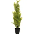 Europalms Zypresse, Leyland, Kunstpflanze, 90cm (90 cm) (82606962)