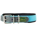 Hunter - Collar Convenience Comfort - Hundehalsband Gr Halsumfang 47-55 cm - Breite 2,5 cm turquoise