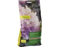 Rhododendrondünger Manna 1 kg 15 m²