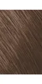Goldwell Haarfarbe Goldwell Topchic New Grey Bus 7N@BP 250ml