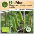 Erbse Samen (BIO) - 20 Samen Gemüsesamen Erbsensamen Maierbse