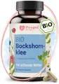 PregniVITAL BIO Aktivierter Bockshornklee Kapseln – Für Stillende Mütter + Fenchel, Kümmel & Anis Komplex in der Stillzeit – 90 Kapseln