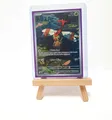 Pokemon Yanma 183 Near Mint Illustration Rare Destined Rivals Englisch