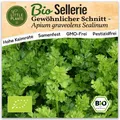 Sellerie Samen (BIO) - 500 Samen Gemüsesamen Selleriesamen Schnittsellerie-Samen