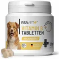 Vitamin B Tabletten - ReaVET