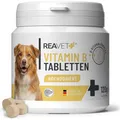 ReaVET Vitamin B Komplex für Hunde – 120 Tabletten hochdosiert I 8-Fach B-Vitamine (B1, B2, B3, B5, B6, B7, B9, B12) unterstützt Energiestoffwechsel, Normale Nervenfunktion & Fell