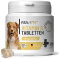 REAVET Vitamin B Komplex Hund 120 Tabletten - Vitamin B hochdosiert für Hunde