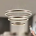 LAMPLAY Runde Moderne LED-Pendelleuchte, 3 Braun Ring-Kronleuchter, Dimmbar Mit Fernbedienung 3000K-6000K Deckenleuchte, Höhenverstellbar, Foyer, Wohnzimmer, Schlafzimmer, Esszimmer(Ø20+40+60cm)