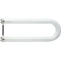 TL-D U 36W 840 T8 U-Röhre Philips